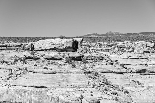 A black and white landscape photo of a rocky layered canyon with a prominent 'island' in the middle. It is slightly higher than the opposite canyon rim. Several rectangular windows are seen in the cliff face of the 'island' indicating a Native-American cliff dwelling. The far canyon rim is populated by shorty scrubby trees. In the center right side of the photo two prominent mesa tops are visible that look like bear's ears.