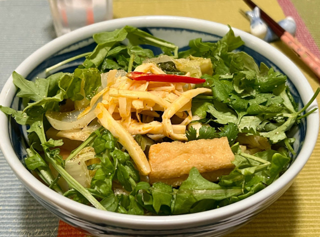 A big bowl of vegetable rich vegan ramen on the placemat. The veggies used are: daikon, Chinese cabbage, bittermelon, cilantro, garlic, ginger, deep-fried tofu, Thai red pepper, arugula. Garnished with fresh arugula and cilantro, and spicy pickled bamboo shoot.