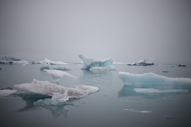 Bergy bits, chunks of ice broken free of a large ice body, float in the waters of Jokulsarlon, a glacier lagoon in southern Iceland, August 2024.  REUTERS/Stoyan Nenov