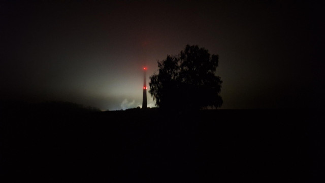 Nacht, Nebel, Turm und Baum. Düster