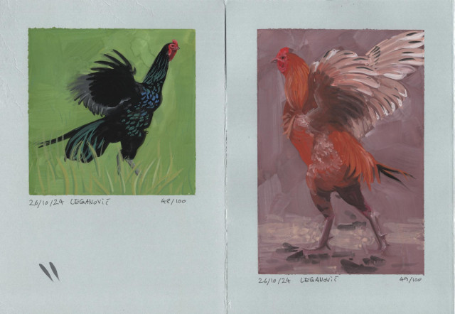 two sketches of chickens on separate sheet of light grey paper seen side by side. the paper has hand-torn edges. both chickens are seen in profile. the one on the left is black, standing in a green meadow and looking to the right, the one on the right is orange-brown, standing on purple-brown ground and looking to the left. Both are extending their wings and stretching their necks upwards. the sketches have clearly delineated edges from where they were framed by tape in the making, but the tape has now been taken off. they are dated, signed and numbered in the bottom