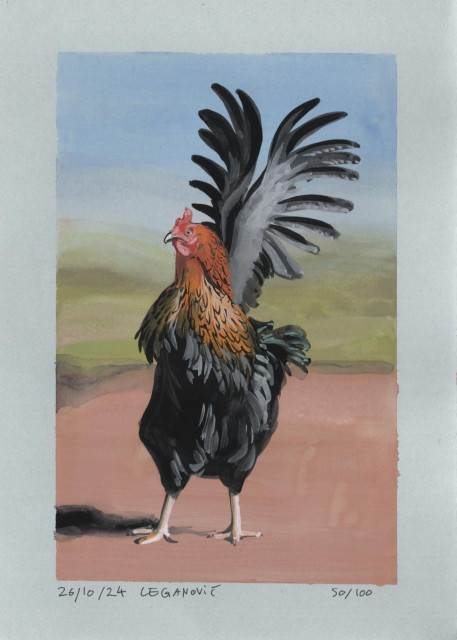 a sketch of a black and brown chicken seen from the front, standing upright and extending its wings all the way behind its back, in front of a background of variegated light browns, greens and a blue sky. like the other two it was made on light grey paper and is dated, signed and numbered in the bottom