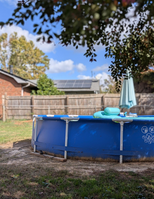 grassy yard with a blue vinyl pool wood fence. a bit of the neighbor's roof and side of their house. couple of trees behind that under a partly cloudy Blue sky. The picture is curtained by branches of a Chinese Fringe Flower tree.