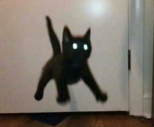 A picture, featuring the sillhouette of a cat that's levitating, with their eyes wide open. WHO DARES TO AWAKEN THE VOID?