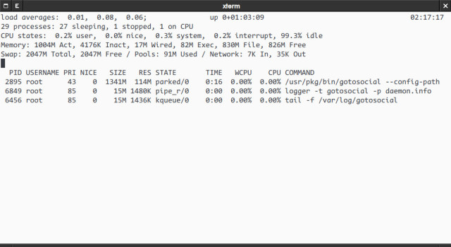 A top command running inside an xterm window. It shows a low resources usage. Especially a gotosocial process using (only) 115MB of RSS and 1342M of VM.