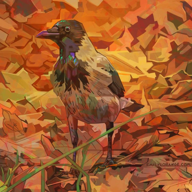 a digital painting of a hooded crow. the bird is centered in the image, with most of his body facing forward to the viewer, and his head in profile so that his bill is pointing to the left. he is mostly white with a black head and spots on his wings and tail, but the artist has included flourishes of aqua and blue in his feathers. he is surrounded by yellow and orange leaves that become more and more abstract as they fall to the background. a few blades of green grass cut the front from the left corner.