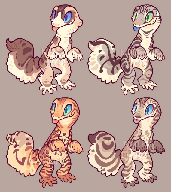 Cartoony leopard geckos with cat like scale patterns. From left to right and top to bottom: ragdoll, grayish brown tabby, bengal and tanned bengal.