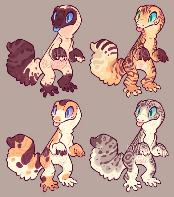 Cartoony leopard geckos with cat like scale patterns. From left to right and top to bottom: siamese, orange blotched tabby, calico tabby and grey tabby.