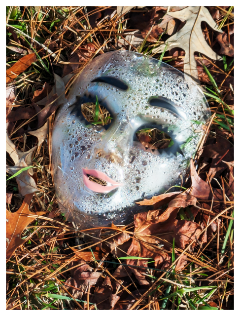 daytime. a clear plastic mask with eye and mouth openings. painted eyebrows, lashes and lipstick lies, as found among fallen leaves, grass and pine needles. the mask's inside is fogged with drops of condensation.