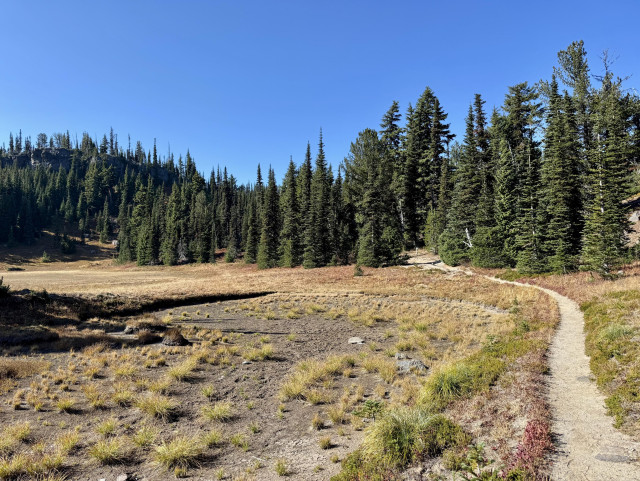 The Pacific Crest Trail skirts the edge of a dried up
pond and meadow on Mount Adams before entering a forest of tall green trees. Clear blue skies.