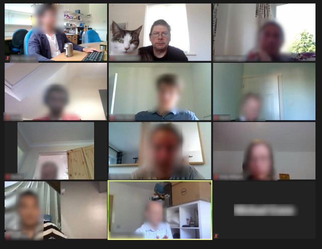 A zoom meeting with 12 people and Dorrit joining in on the top middle video.