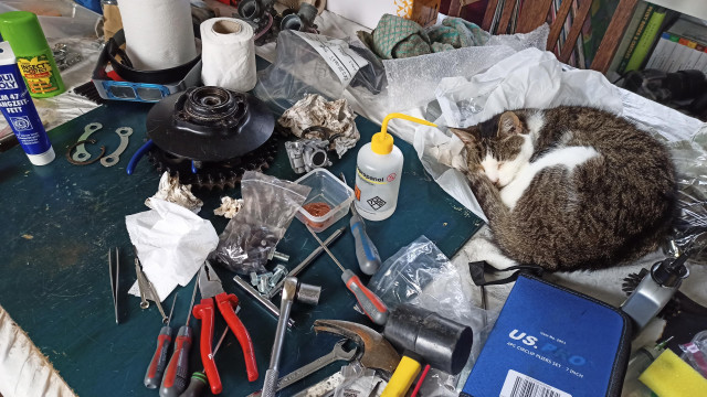 A table top full of motorcycle engine parts and tools, with a small tabby cat fast asleep next to them