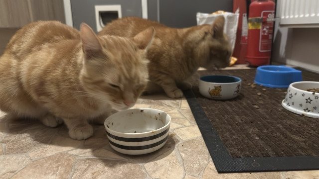 Washy left and George right eating foodies 