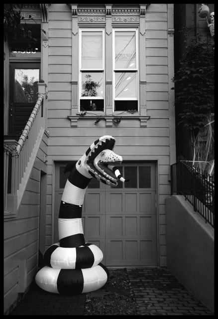 A giant 10 foot tall balloon in the shape of a serpent/snake is coiled in the driveway of a Victorian house. The striped snake body rises up... and out of its open mouth a smaller snake head emerges.

I've been told this creature is from Beetlejuice. Sounds about right.

Taken on Halloween, in Noe Valley, San Francisco. 

Not shown: all the trick-or-treaters I had to growl at to get them out of the frame. Little bastards.