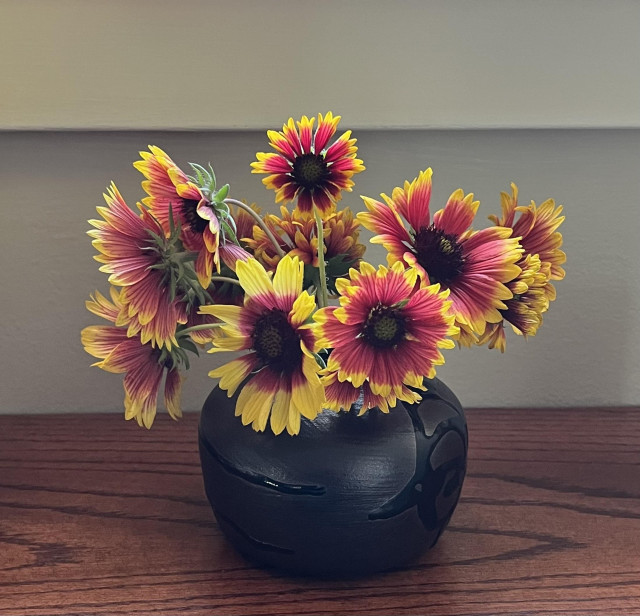 A black vase with black drips is holding a bunch of red and yellow Coreopsis wildflowers.