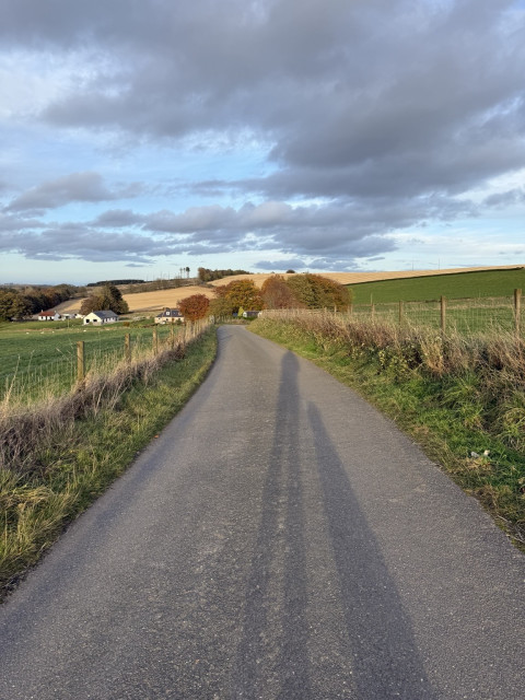 A view of a rural road lined with grass and fences, leading towards a hilly landscape. Shadows of a person and a dog (the author and their faithful companion, Rogue) are visible on the road, and there are distant houses and trees in the background under a cloudy sky.