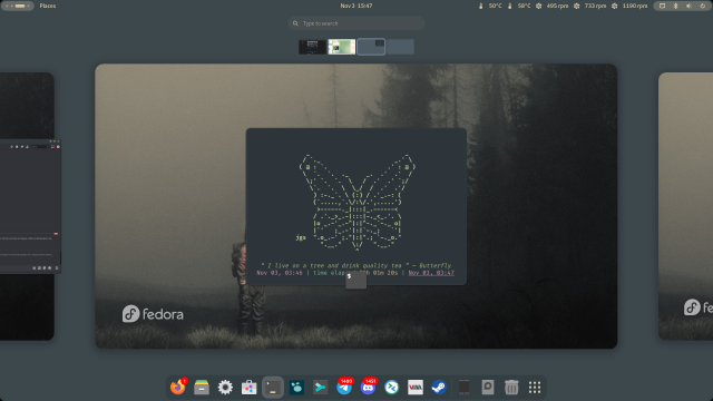 Screenshot of the overview in Gnome. The same terminal window is visible as a preview.