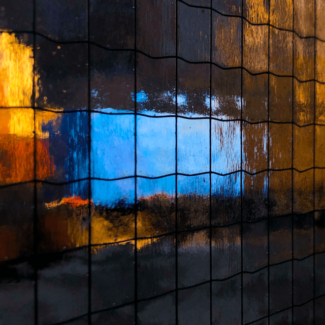 A colourful rooftop garden lit by the late day sun, as seen through protective glass. In the center of the frame is a large blue rectangle shaped object and to the left an area of orangey red.