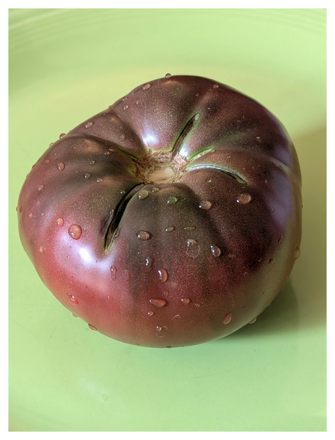 a red/purple tomato sits, stem-side up, on a lime green plate.