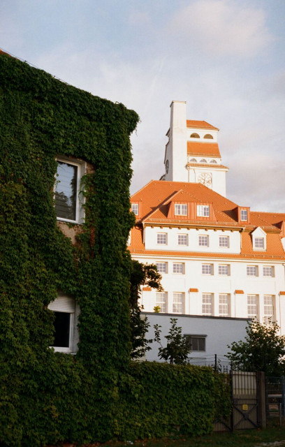 The analog photo captures a building with a tall, clock-towered facade bathed in warm sunlight, contrasting with a nearby wall completely covered in lush green ivy. The sky is lightly clouded.