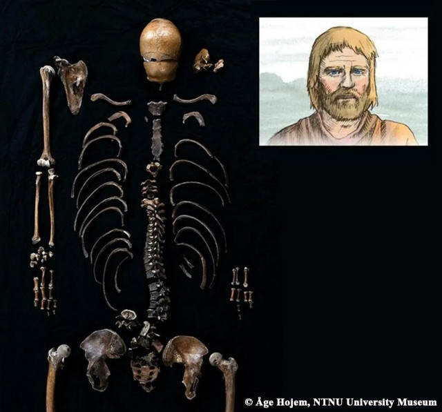 DNA analysis of ‘Well-man’ thrown into castle well corroborates 800-year-old Norse saga

Norwegian researchers have used genetic analysis to potentially identify the remains of a medieval figure described in an 800-year-old Norse saga. The study, published on October 25 in the journal iScience, analyzes skeletal remains discovered in 1938 at the Sverresborg Castle in Norway.

Researchers believe the bones may belong to a figure from the Sverris Saga, a historical prose poem documenting the reign of King Sverre Sigurdsson and recounting a dramatic incident in 1197, where a man’s body was reportedly thrown into the castle’s well to poison its water supply...