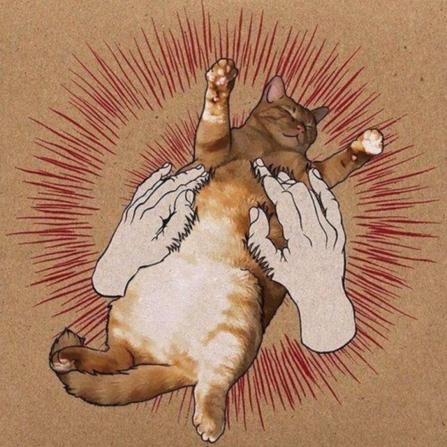 meme :
la couverture de l'album de Gospeed you black emperor, mais transformée pour ajouter un chat qui se fait grater le ventre