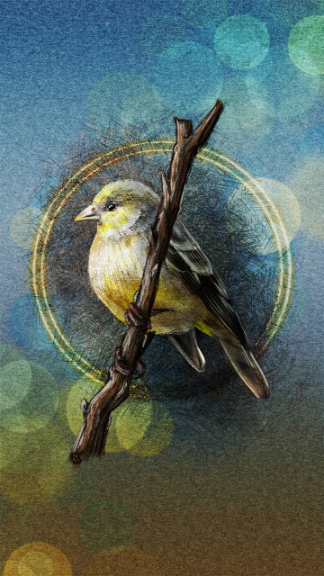 Illustrated phone wallpaper of a Goldfinch perched on a branch. Behind it is a textured paper, with a gold gradient at the top and a golden brown gradient at the bottom as well as a bokeh lighting effect. Surrounding the bird is crosshatching and a double halo of gold light.