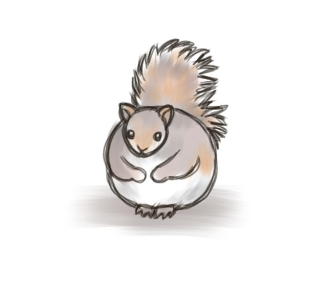 A drawing of a squirrel which is extremely round