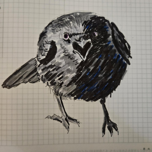 A very round crow yelling at the viewer. Done in tombow markers