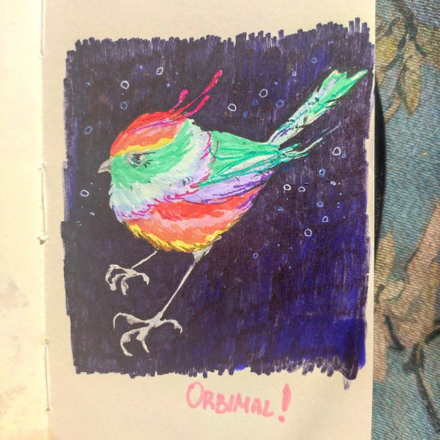 Marker drawing of a very colourful and round bird on a black background 