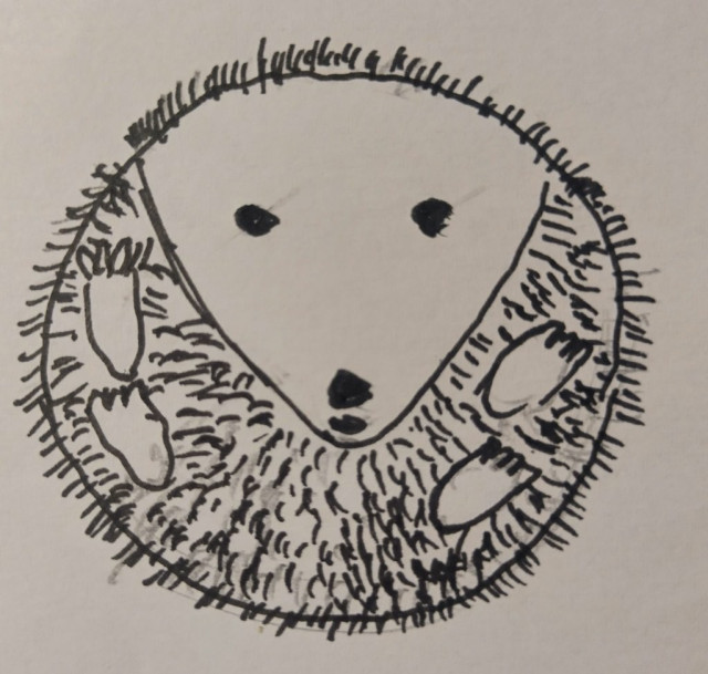 Ink Sketch: hedgehog in a circle