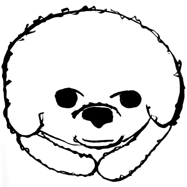 Circular image of a puppy. 