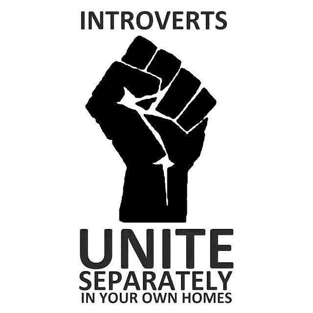 Funny meme, showing a protest poster style image of a raised fist. The accompanying text reads "Introverts, unite… Separately… In your own homes."