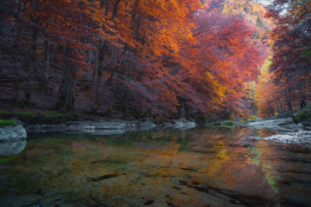 Fotografía en la cual se ve un paisaje natural donde en la mitad superior se ven bastantes árboles con colores otoñales (naranjas, rojos, ocres...) y en la mitad inferior se ve un estanque natural de agua tranquila.