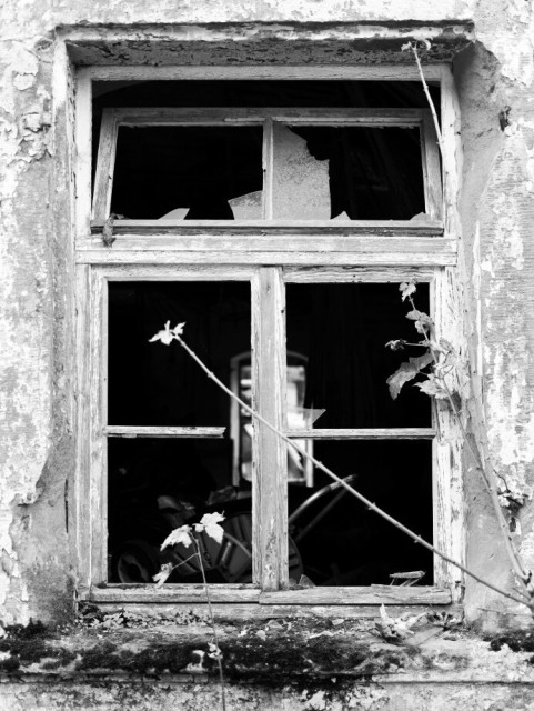 #Fenster in Ruine