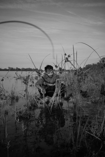 a man squatting near to water plants, on a river edge. monochrome.