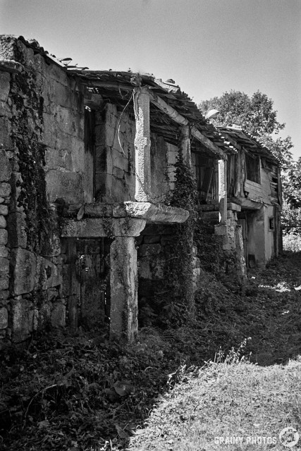 A black-and-white film photo of abandoned, deteriorated and overgrown houses in an Aldea.