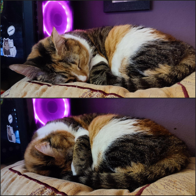 Two pictures of my calico cat Carrie peacefully asleep on a cushion on my desk, in the second picture she has placed her front paw in front of her face to cover her eyes in order to prevent any light from reaching her. 