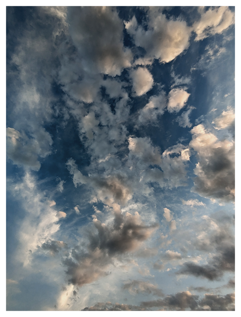 sunset. a dramatic array of small, cream-colored and gray clouds. well above the horizon. the sky is shades of indigo.