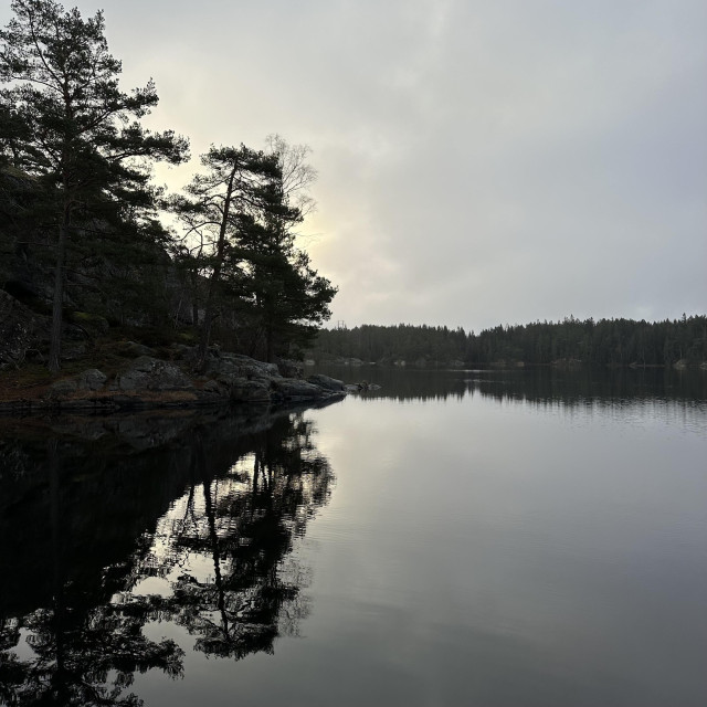 Dark pine trees and a gray sky with just a little bit of light mirrored in a lake.