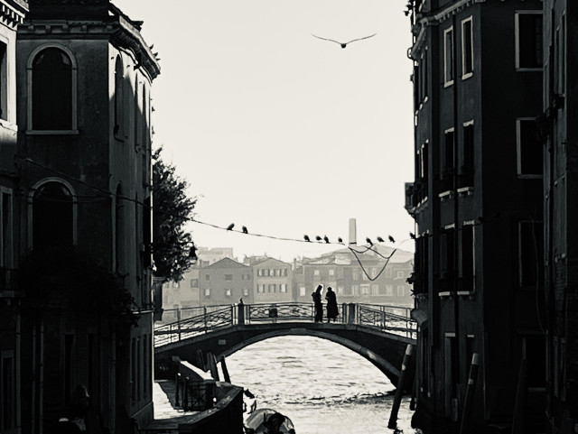 Black and white photo looking down a Venetian canal. The buildings on either side - three storeys on the left and four on the right - are in shadow, punctuated by many white window frames. The canal is spanned at the end by a bridge, on which two people are standing, they are too far away to make out any details and look almost stick-figure like. Higher up, the canal is also spanned by a wire, atop which are perched a row of ten pigeons like a string of Christmas baubles. There is a seagull flying at the very top centre of the frame, like an oblique V shape done with a faint pencil. In the far distance there is a low skyline of houses. 