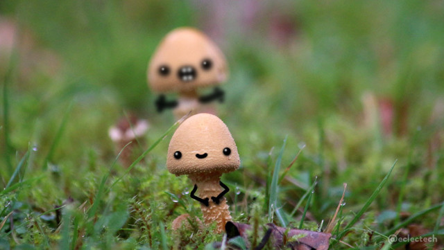 A photo of two mushrooms in a mossy lawn. The one in the foreground is in focus and has a sweet smile drawn on and arms resting neatly on its front. The other is almost directly behind, very similar in size and colour but out of focus. Its arms are stretched out and has a toothy open mouth. It's not terrifically scary, but certainly isn't looking sweet like the front one.