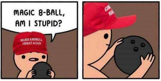 The image provided appears to be a meme composed of two panels that convey a narrative related to bowling and politics.

1. **First Panel:**
   - The character is wearing a red cap with white text that reads, "Make America Great Again."
   - The character is holding a bowling ball and looking upwards.
   - There's a speech bubble above the character's head with the text: "MAGIC 8-BALL, AM I STUPID?"
   
   **Explanation:** The character is playfully asking an imaginary Magic 8-Ball, a toy used for fortune-telling, if he is stupid. This could be a metaphorical or question about one's intelligence or judgment. The juxtaposition of a political slogan with this question adds a layer of satire.

2. **Second Panel:**
   - The character is in the same posture, wearing the same red cap and holding the same bowling ball.
   - This time, the character is looking directly at the bowling ball, seemingly in confusion orhtml confusion.
   
   **Explanation:** The shift from looking at the Magic 8-Ball to the bowling ball could imply a decision or reflection process related to their actions or beliefs—suggesting doubt or introspection. The simplicity of the visual change enhances the humor by showing the character's direct confrontation with their question.

**Overall Theme:** The meme uses the character's casual attire, action, and written context to create a satirical take on personal reflection, possibly hinting at larger political or societal commentary disguised in humor.