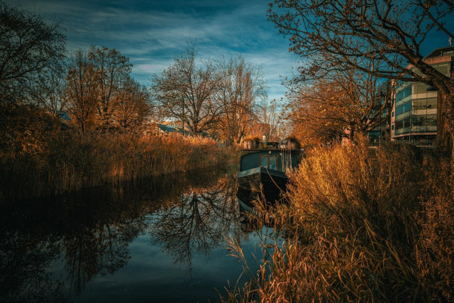 A canal boat amongst the reeds in the morning sun