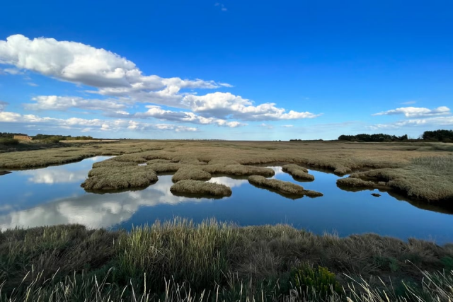 A photo of a marshy area, showing grassy marshland interpenetrated by extremely flat and still water. The parts of the marsh that are water mirror the sky above, which is deep blue with clouds far back on the horizon