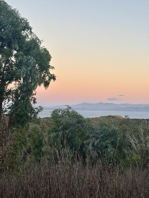 A scenic view featuring trees in the foreground and a tranquil coastal landscape at sunset, with soft pastel colors in the sky and distant hills across the water.