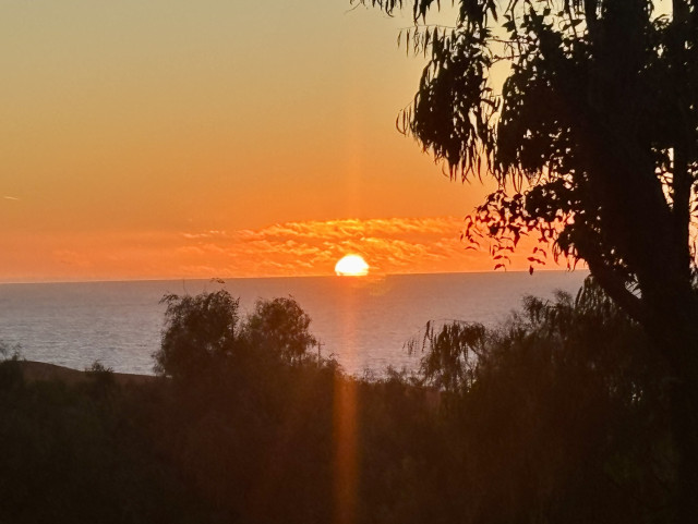 A sunset over the ocean, with vibrant orange and yellow hues in the sky. Silhouetted tree branches frame the scene.