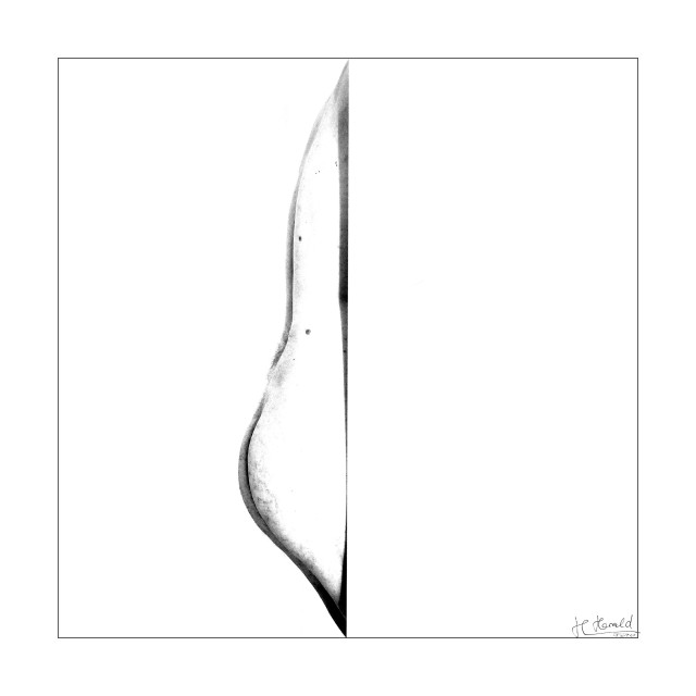 Black and white square and high contast picture of a nude man. He's seen from the side and stands behind a white object so only back and bottom are visible forming a vertical curved line. It's a minimalistic high-key image.