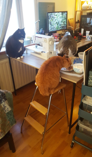 A lower quality but still information laden photo of three cats on one spoke of an L shaped desk. A mostly black cat on the left is sitting up primly. A brown and white tabby cat is on the desk, leaning down to eat some kibble off a puzzle cat feeder. A ginger tabby cat is sat at the table, on a high stepladder chair, his tail tucked under the seat, delicately enjoying some wet food off a white ceramic plate. Next to him is a water bowl, full, with a pastel mosaic design monkey upon it. There's a sewing machine behind the cats, and on the other spoke of the desk a computer setup, mug of tea and assorted desktop junk. It's not a very serene or controlled composition, but there's three cats.