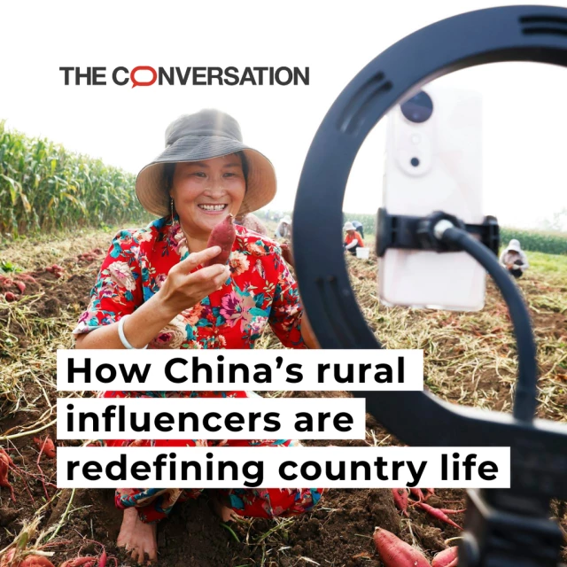 A farmer promotes taro through a live webcast in a field in Suqian, Jiangsu province, China, on Sept. 9, 2024. The graphic reads "How China's rural influencers are redefining country life."